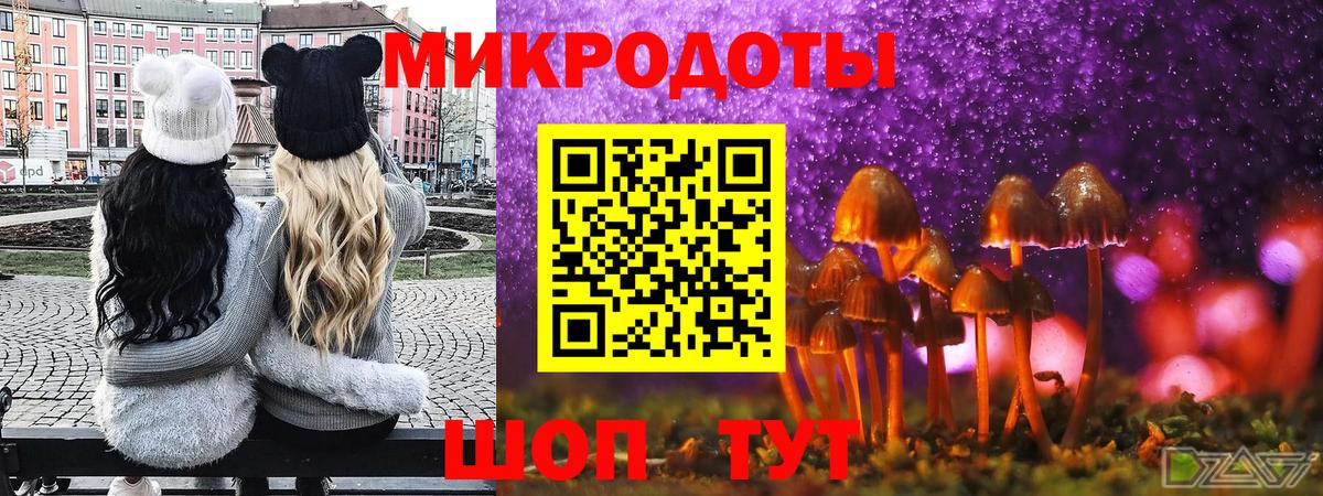 Сургут  Псилоцибиновые грибы MAGIC MUSHROOMS  Вход с VPN  Галлюциногенные грибы Psilocybe 